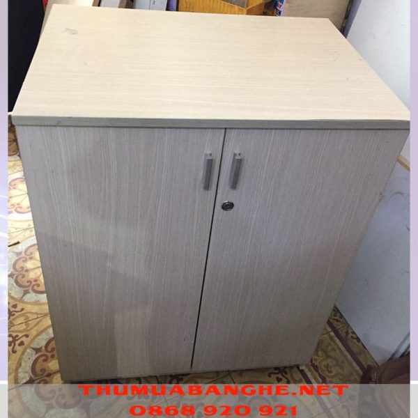 Thanh Lý Tủ Hồ Sơ Thấp 2 Cánh 70cm x 90cm 1