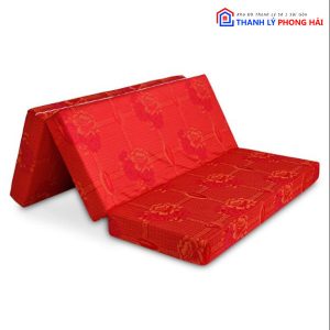 Thanh Lý Nệm Gòn Nhiều Kích Thước Dày 10 Phân Tồn Kho Giá Rẻ 4 Thanh Lý Nệm Gòn Nhiều Kích Thước Dày 10 Phân Tồn Kho Giá Rẻ 9