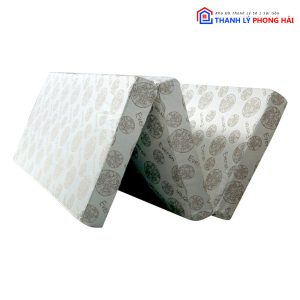 Thanh Lý Nệm Gòn Nhiều Kích Thước Dày 5 Phân Tồn Kho 2 Thanh Lý Nệm Gòn Nhiều Kích Thước Dày 5 Phân Tồn Kho 7