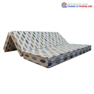 Thanh Lý Nệm Gòn Nhiều Kích Thước Dày 5 Phân Tồn Kho 3 Thanh Lý Nệm Gòn Nhiều Kích Thước Dày 5 Phân Tồn Kho 8