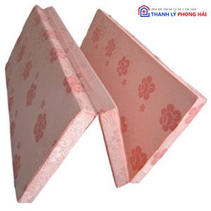 Thanh Lý Nệm Gòn Nhiều Kích Thước Dày 5 Phân Tồn Kho 4 Thanh Lý Nệm Gòn Nhiều Kích Thước Dày 5 Phân Tồn Kho 9