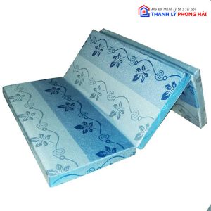 Thanh Lý Nệm PE Nhiều Kích Thước Dày 10 Phân Tồn Kho 4 Thanh Lý Nệm PE Nhiều Kích Thước Dày 10 Phân Tồn Kho 9