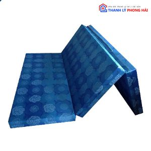 Thanh Lý Nệm PE Nhiều Kích Thước Dày 5 Phân Tồn Kho Giá Rẻ 2 Thanh Lý Nệm PE Nhiều Kích Thước Dày 5 Phân Tồn Kho Giá Rẻ 7