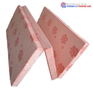 Thanh Lý Nệm PE Nhiều Kích Thước Dày 3 Phân Tồn Kho Giá Rẻ 2 Thanh Lý Nệm PE Nhiều Kích Thước Dày 3 Phân Tồn Kho Giá Rẻ 7