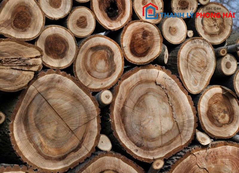 go-oc-cho-la-gi-1 Gỗ Óc Chó Là Gỗ Gì? Mọi Kiến Thức Bạn Cần Biết Về Gỗ Óc Chó  