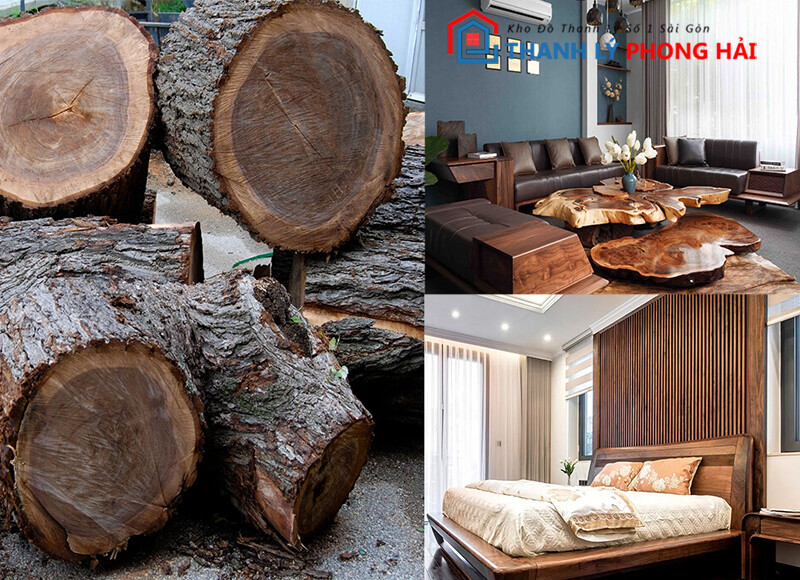 go-oc-cho-la-gi-3 Gỗ Óc Chó Là Gỗ Gì? Mọi Kiến Thức Bạn Cần Biết Về Gỗ Óc Chó  