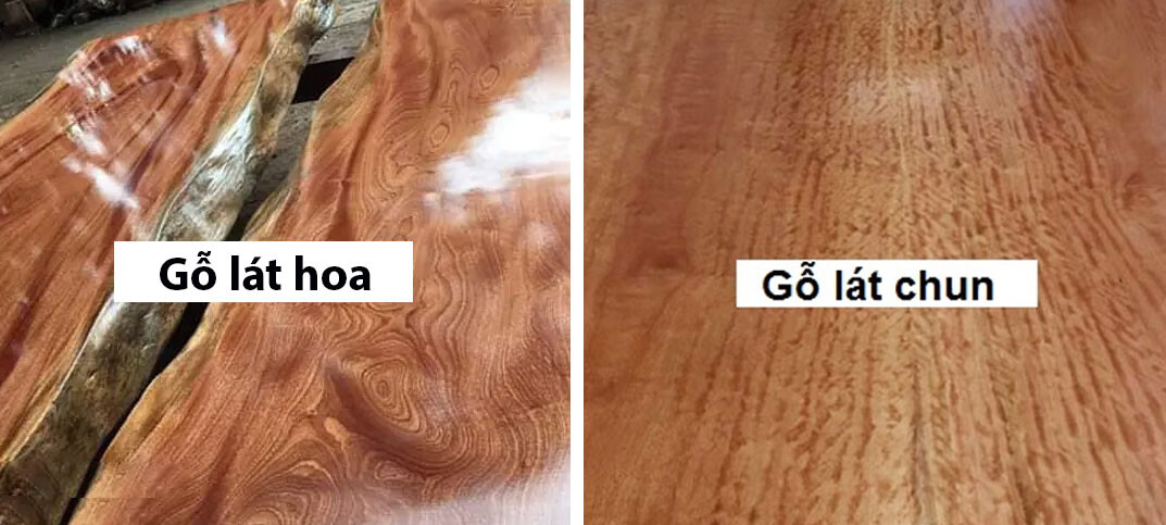 Gỗ lát là gì? Có mấy loại gỗ lát? Đặc điểm so sánh và báo giá gỗ lát! go-lat-chun-go-lat-hoa Gỗ lát là gì? Có mấy loại gỗ lát? Đặc điểm so sánh và báo giá gỗ lát!