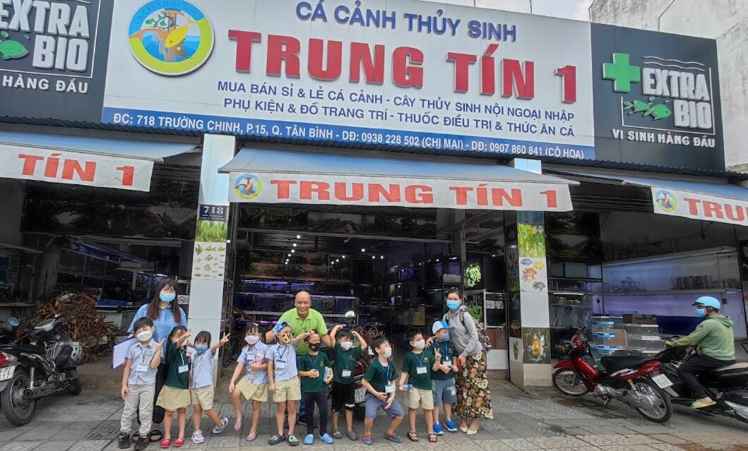 ca-canh-thuy-sinh Top 9 Địa Chỉ Mua Bán Thanh Lý Hồ Cá Cũ Tại TPHCM – Giải Pháp Tiết Kiệm Cho Người Yêu Cá Cảnh  