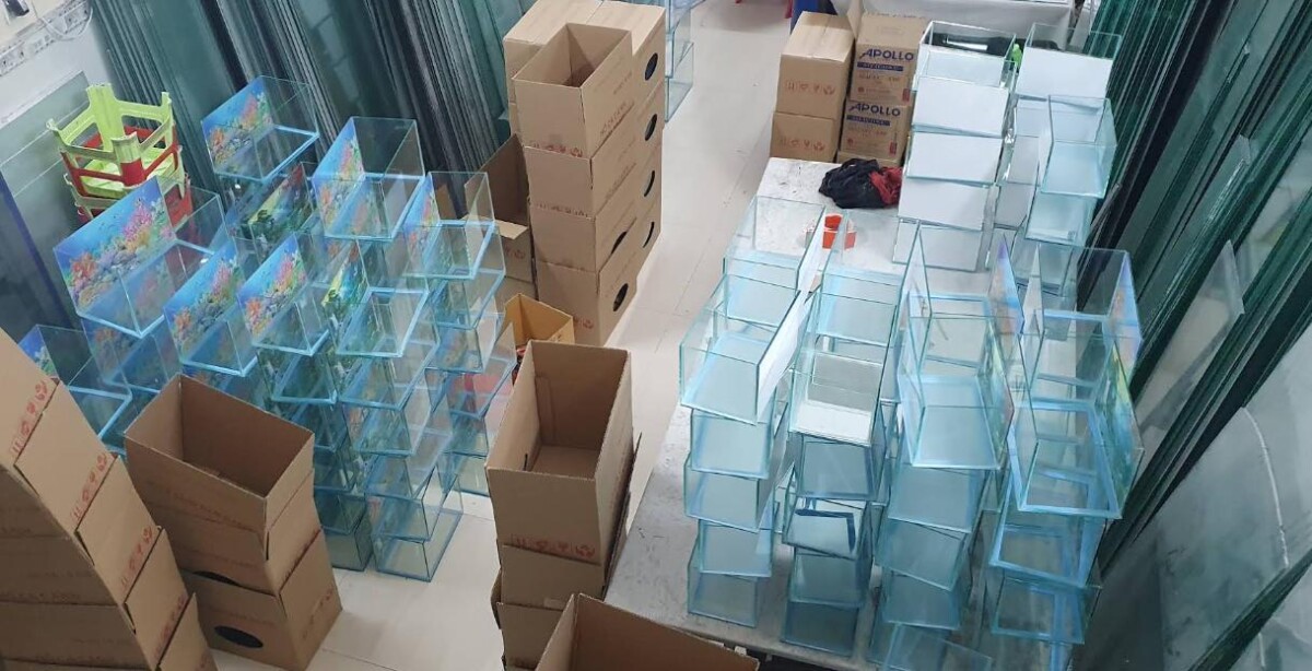 ho-ca-canh-nam-dang Top 9 Địa Chỉ Mua Bán Thanh Lý Hồ Cá Cũ Tại TPHCM – Giải Pháp Tiết Kiệm Cho Người Yêu Cá Cảnh  