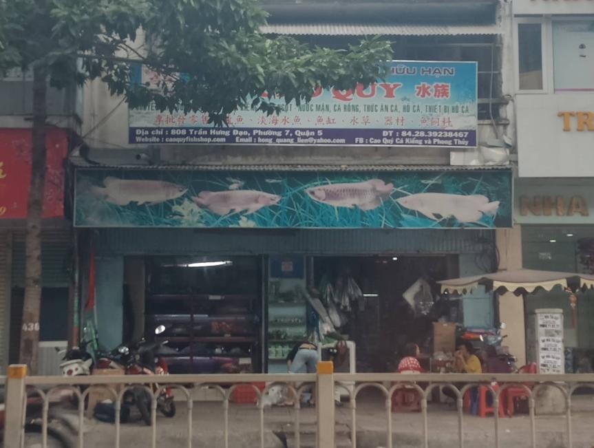 ho-ca-cao-quy Top 9 Địa Chỉ Mua Bán Thanh Lý Hồ Cá Cũ Tại TPHCM – Giải Pháp Tiết Kiệm Cho Người Yêu Cá Cảnh  