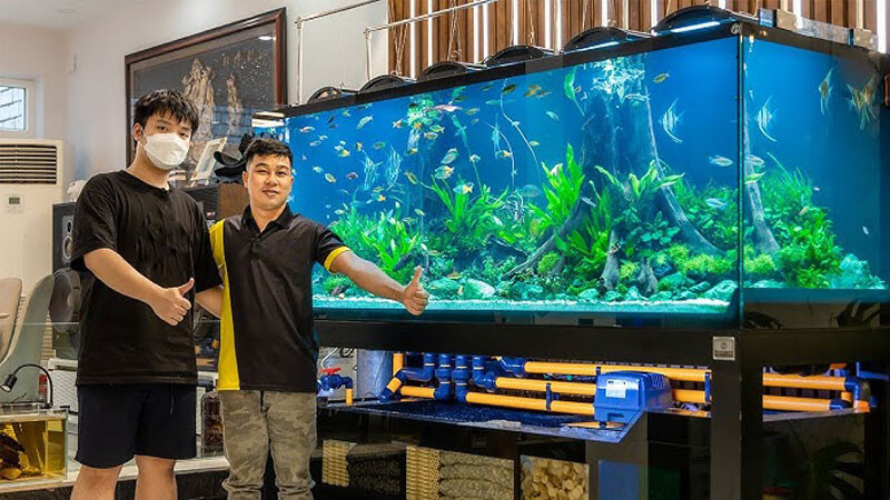 mua-ban-ho-ca-cu Top 9 Địa Chỉ Mua Bán Thanh Lý Hồ Cá Cũ Tại TPHCM – Giải Pháp Tiết Kiệm Cho Người Yêu Cá Cảnh  