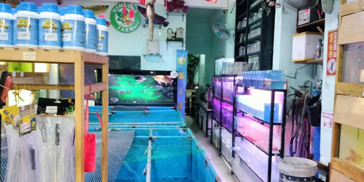 nam-long-farm Top 9 Địa Chỉ Mua Bán Thanh Lý Hồ Cá Cũ Tại TPHCM – Giải Pháp Tiết Kiệm Cho Người Yêu Cá Cảnh  