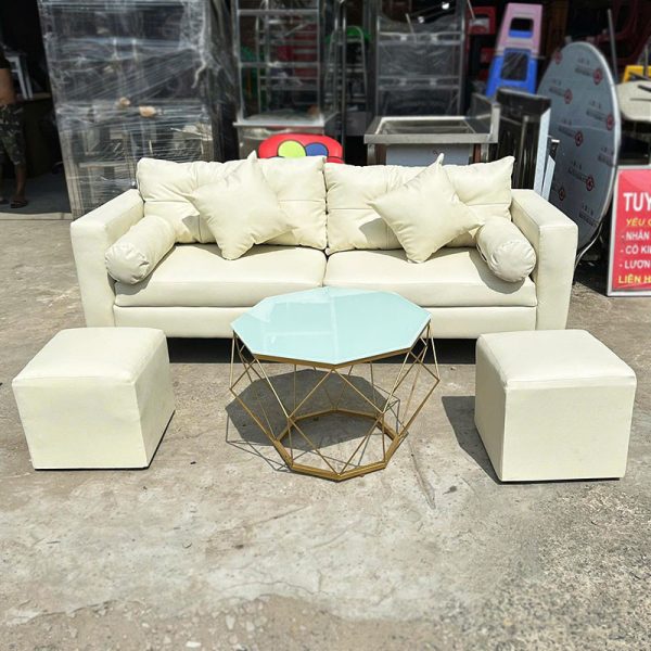 Thanh Lý Sofa Bọc Da 2 Chỗ Kèm Đôn Vuông Mới 99% (Nhiều Màu)